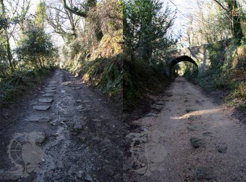 Carmears incline in Luxulyan Valley, Mid Cornwall - 2014 by M.Soper
