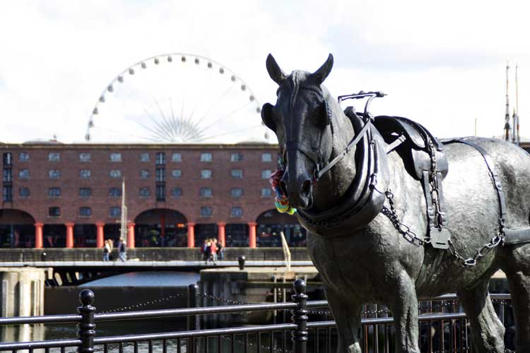 Albert Dock, Liverpool 11 © GooseyGoo