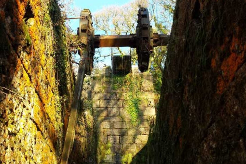 Carmears Wheel - 1. © GooseyGoo