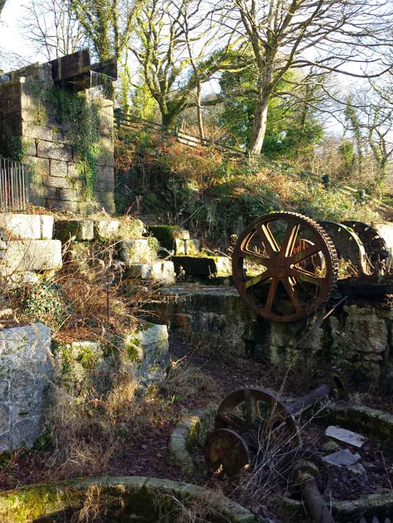 The Carmears Wheel