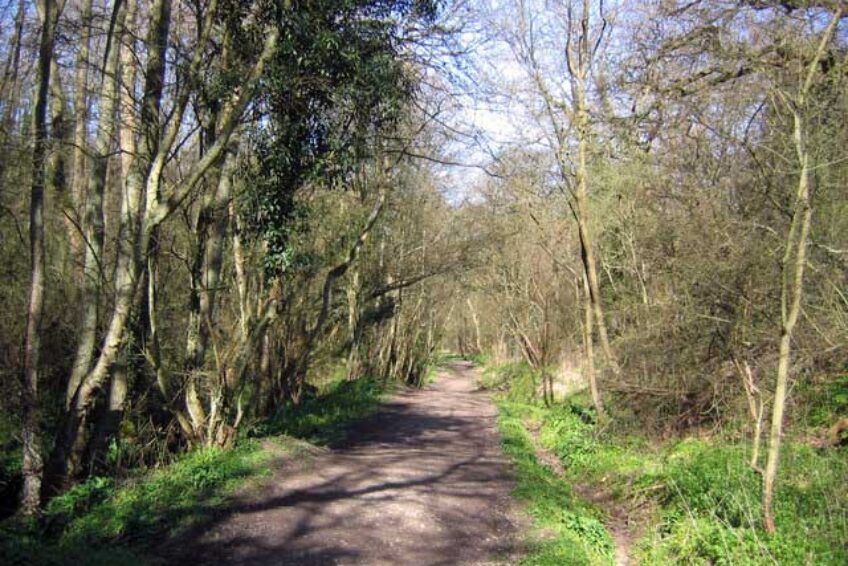 Goathland Incline © Copyright Stephen Horncastle and licensed for reuse under CC by SA 2.0