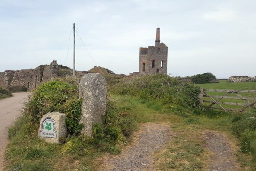 Higher Bal 1 copyright Maryann Soper