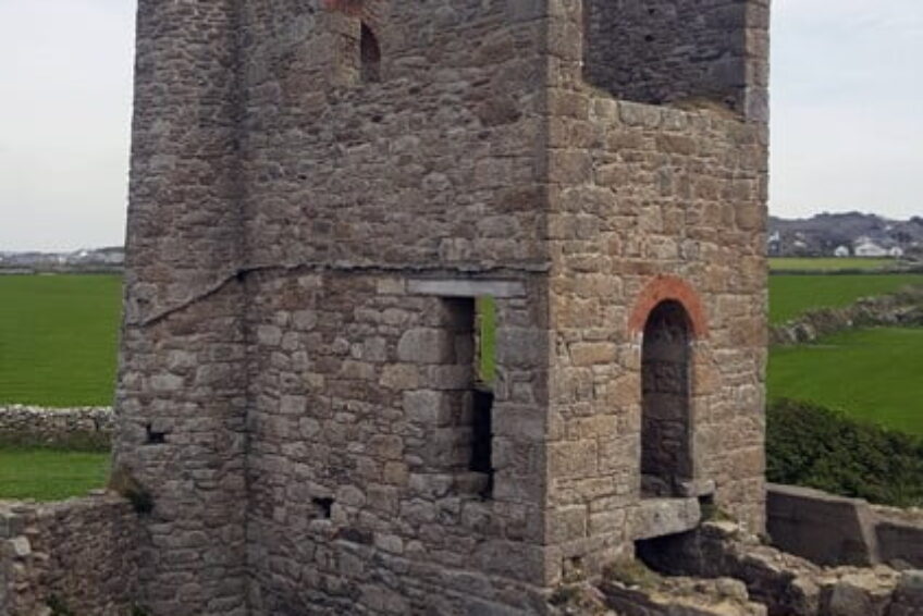 Higher Bal 2 copyright Maryann Soper